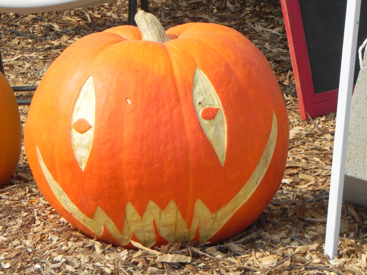 Smile, Nipomo Pumpkin Patch best carving idea